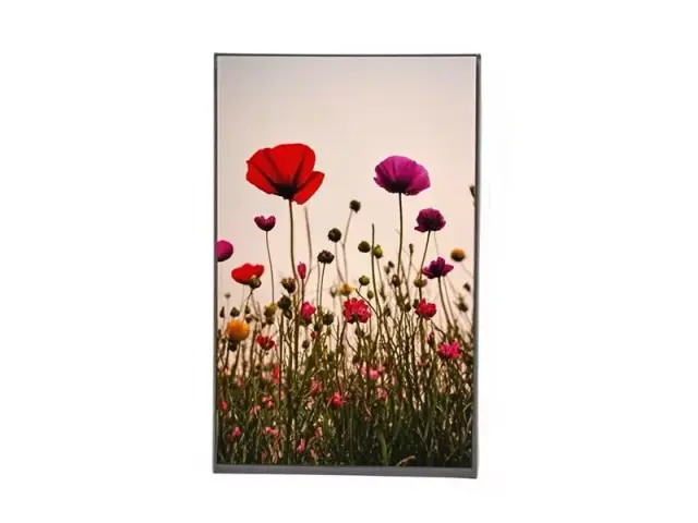 Color LCD Displays Continue to Power Innovation in Consumer and Industrial Electronics